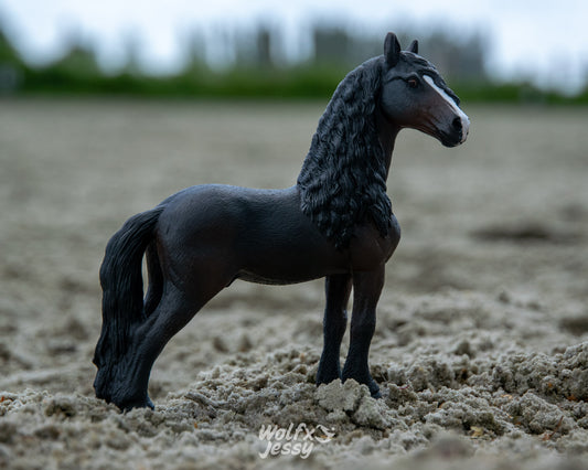 NIEUW Fries 'Yfke'