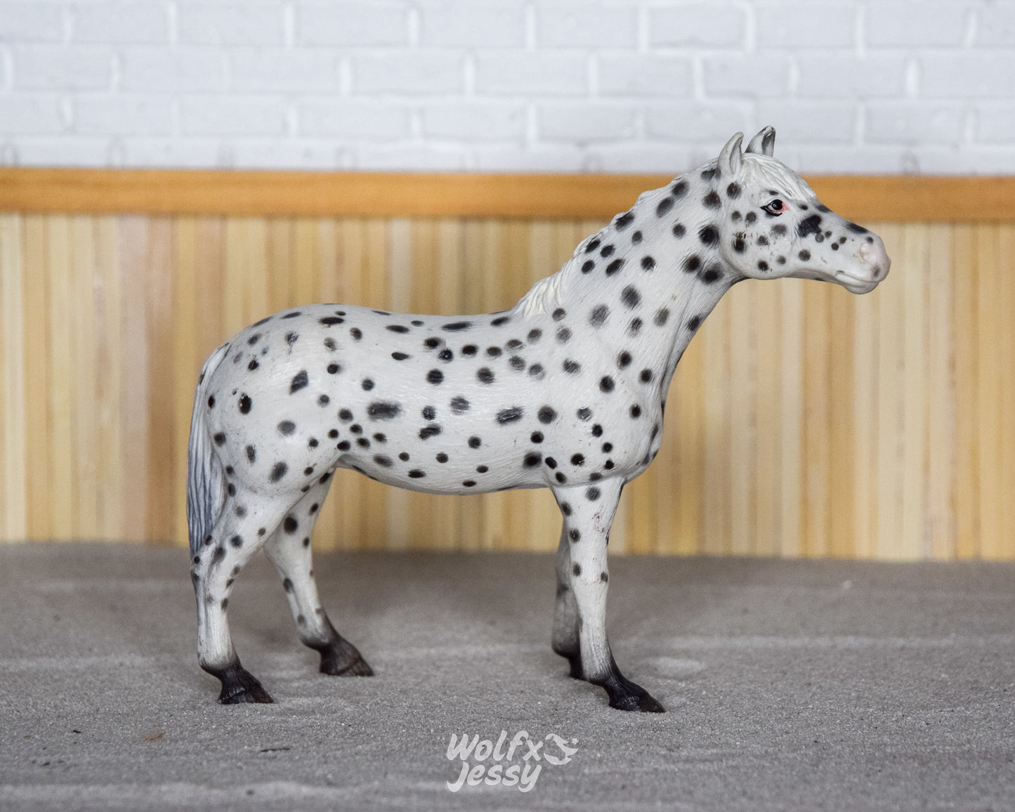 13617 Knabstrupper merrie