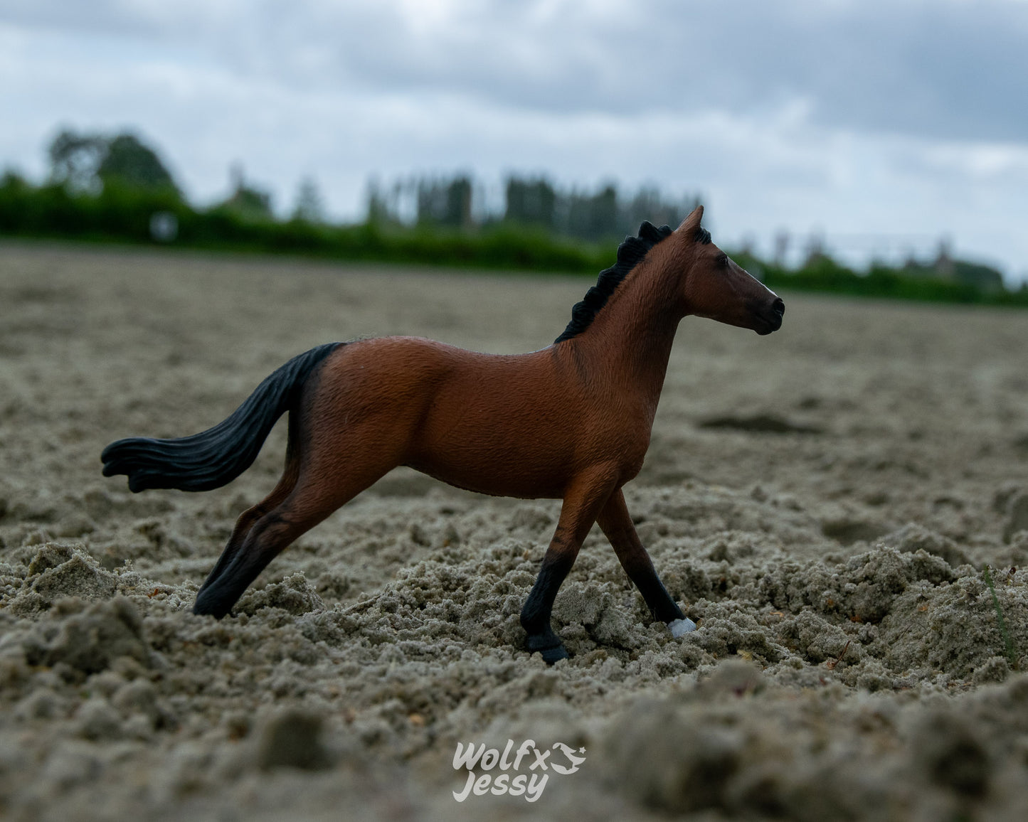 NIEUW Mustang 'King'