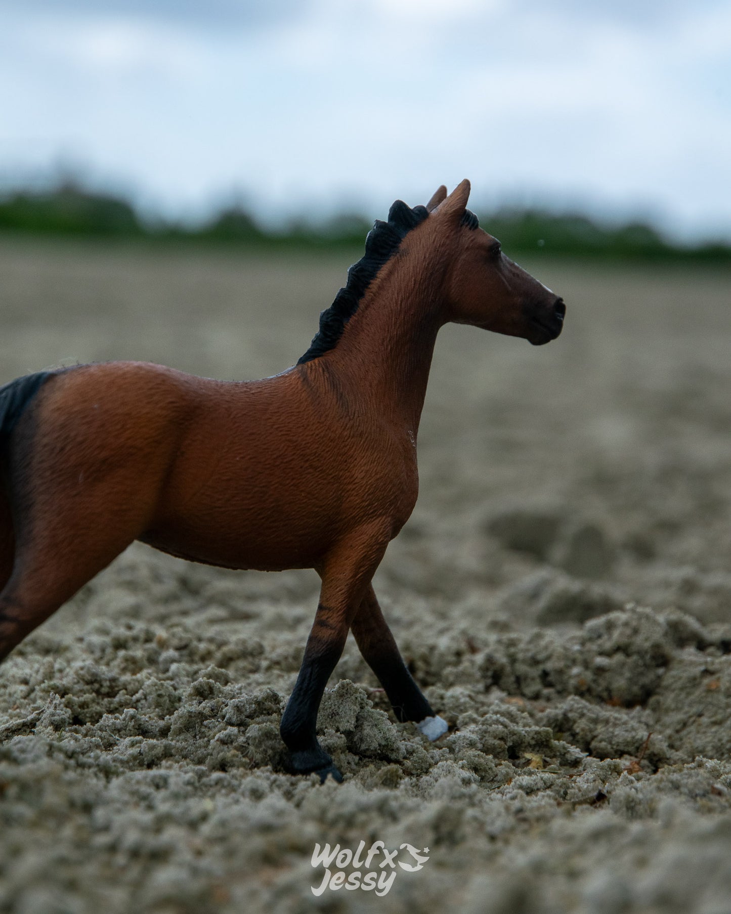 NIEUW Mustang 'King'