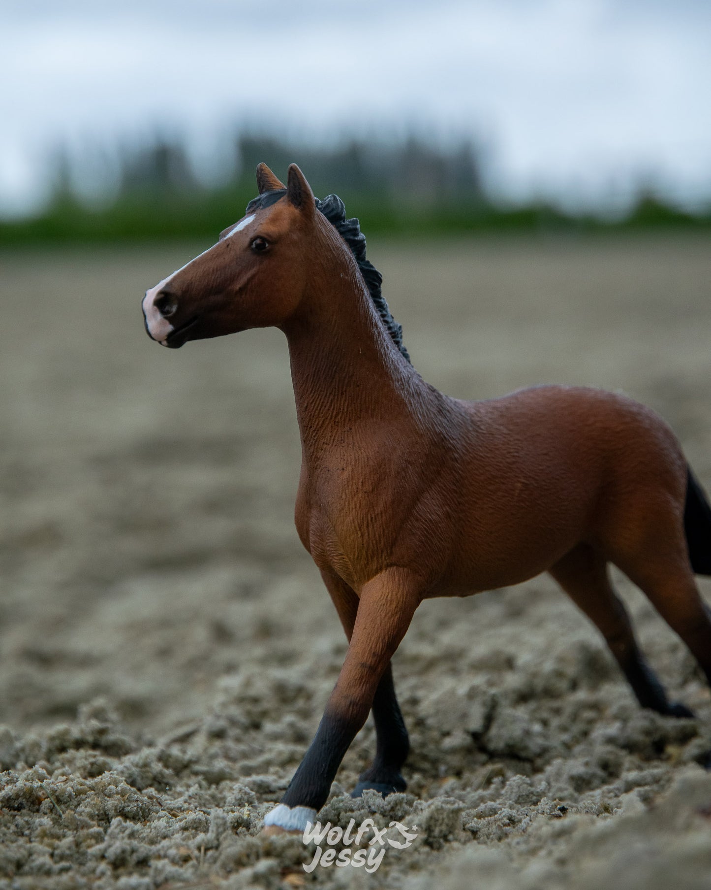 NIEUW Mustang 'King'