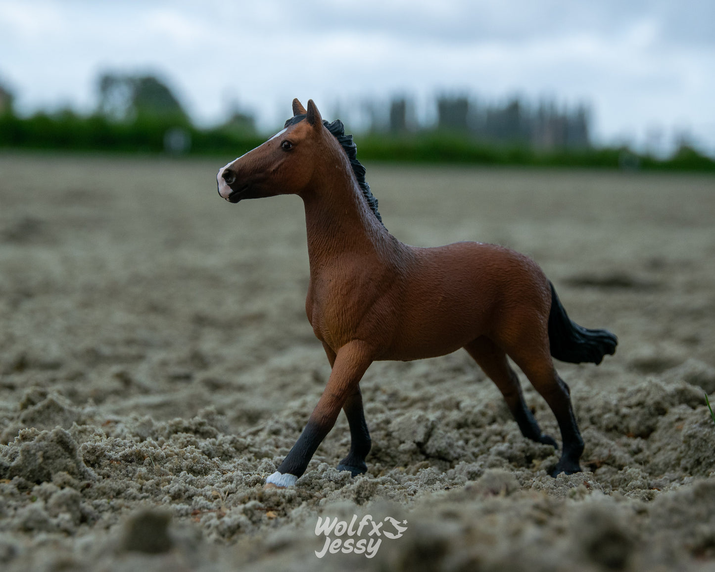 NIEUW Mustang 'King'