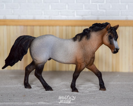 13650 Quarter horse hengst