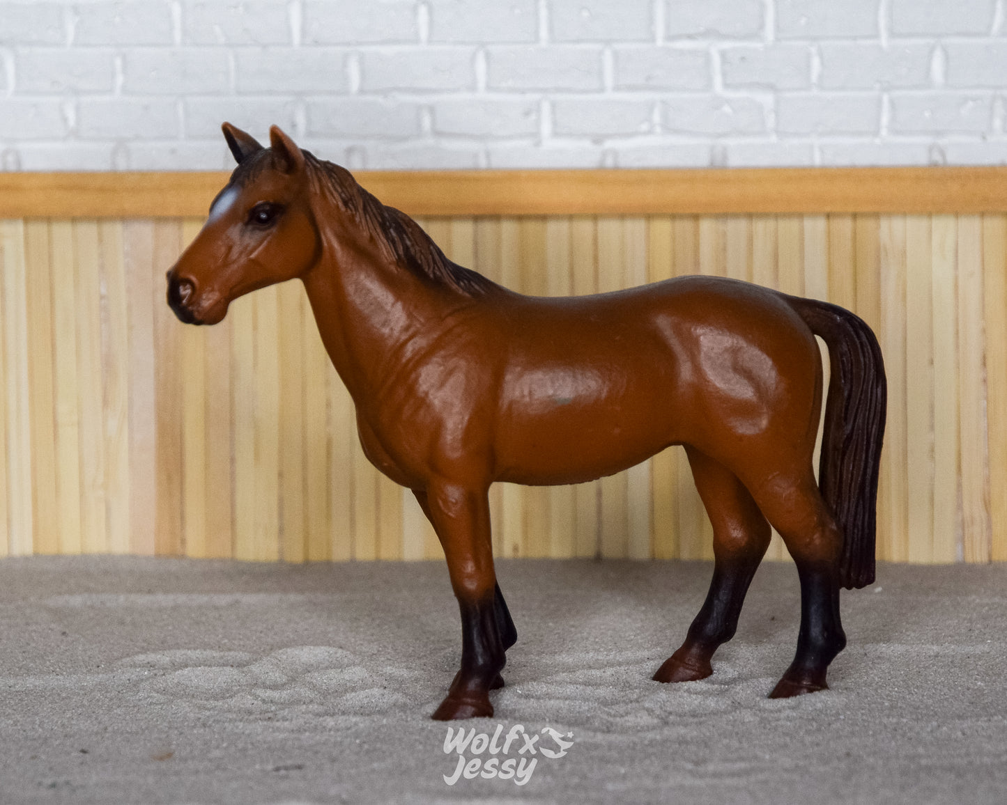 13261 Trakehner merrie