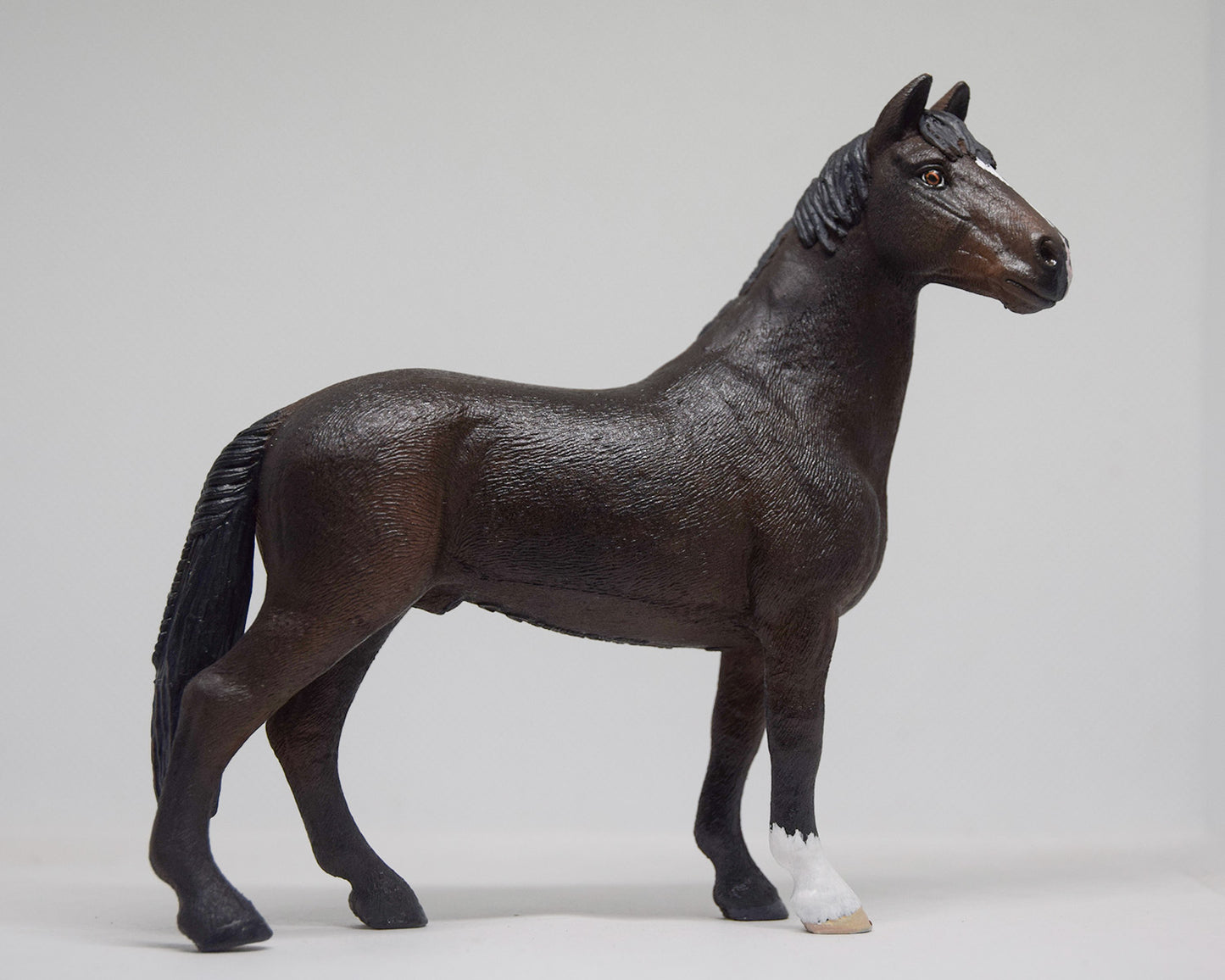 NIEUW Sportpaard 'Rocky'