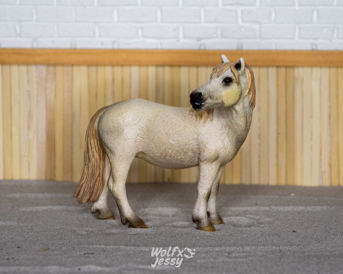 13609 Camarque merrie