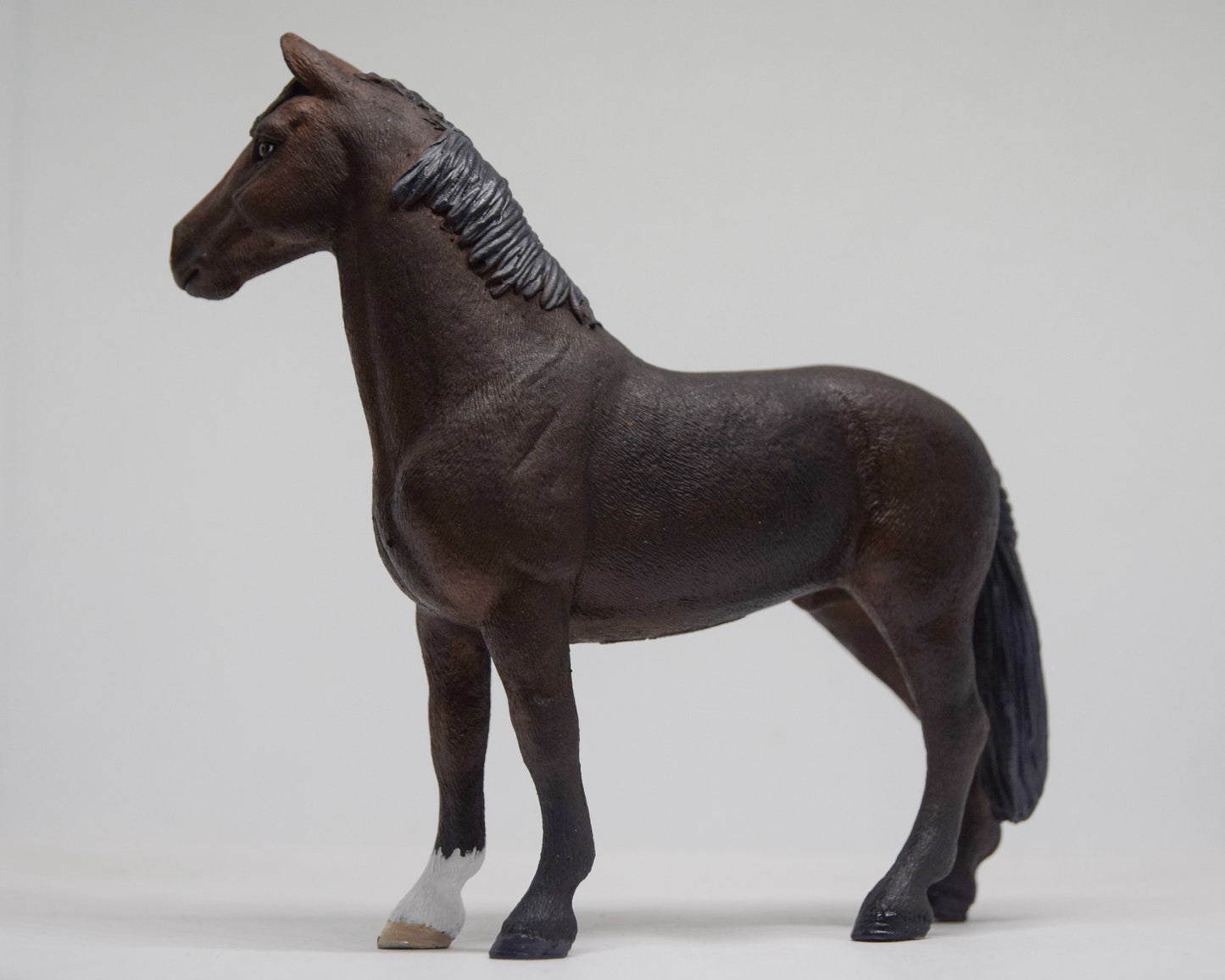 NIEUW Sportpaard 'Rocky'