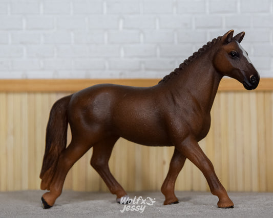 13729 Hannoveraan merrie