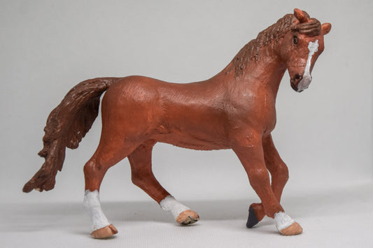 Arabier 'Mirabel'
