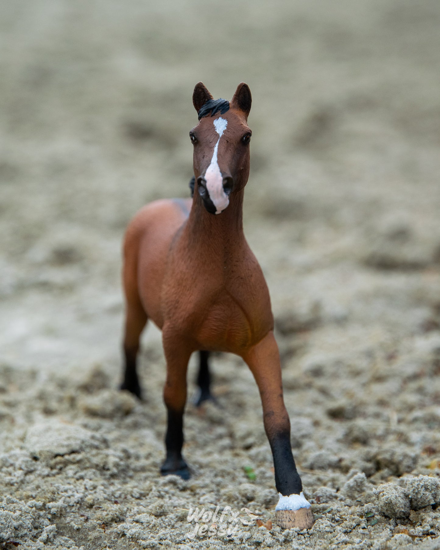 NIEUW Mustang 'King'