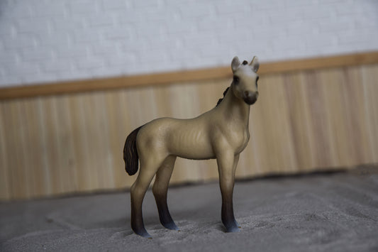 Akhal Teke veulen 13702