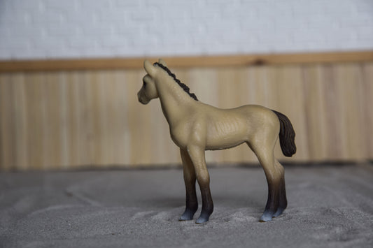 Akhal Teke veulen 13702