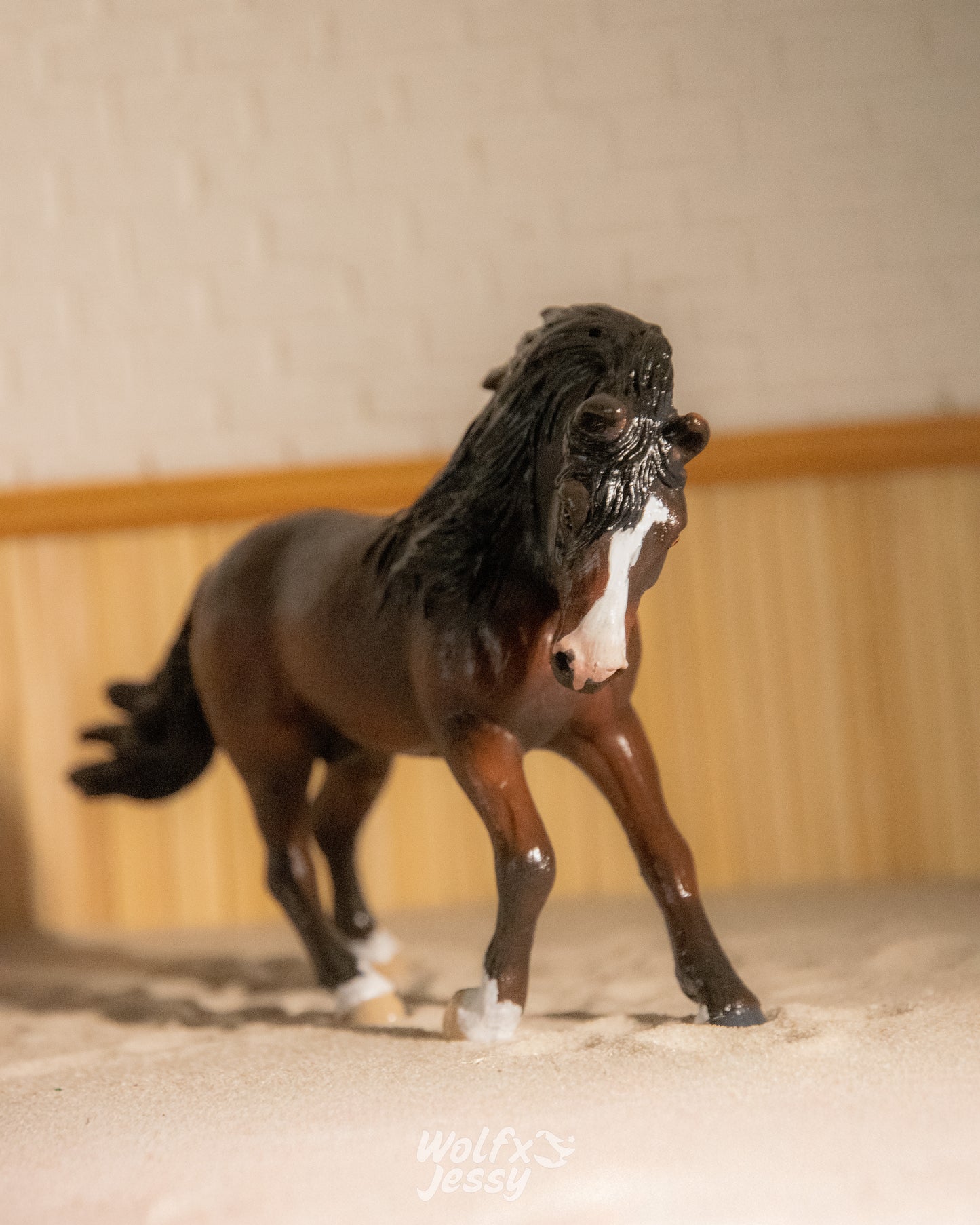 NIEUW Andaluser 'Navero'