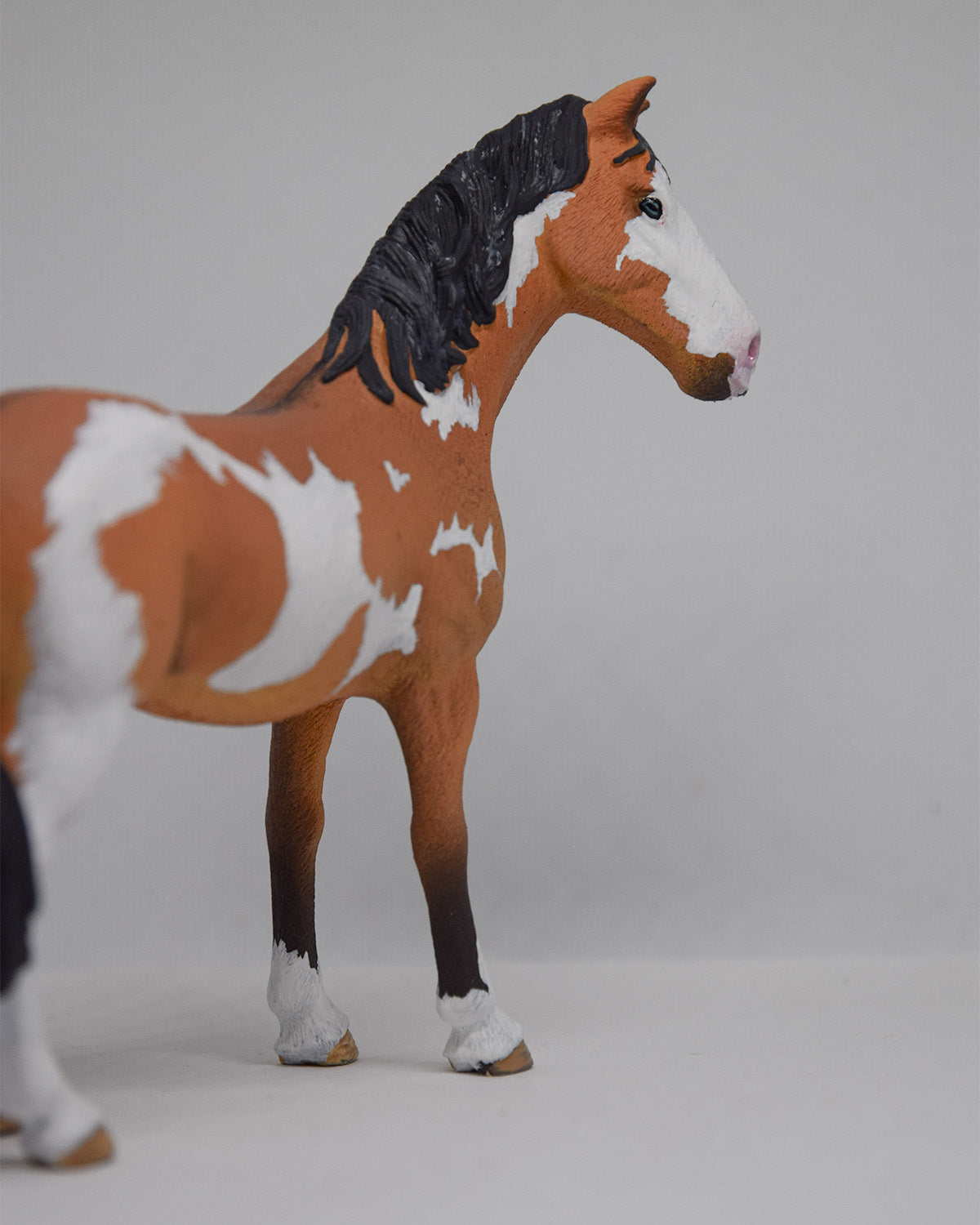 NIEUW Paint horse  'Alby'