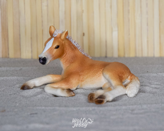 13292 Haflinger veulen liggend