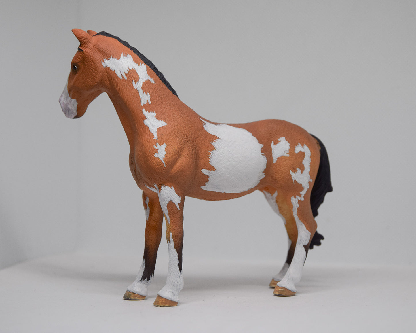 NIEUW Paint horse  'Alby'