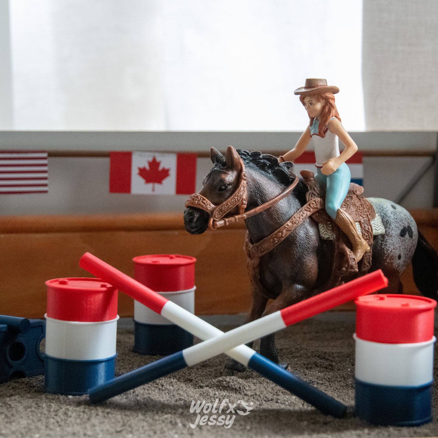 Western riding set
