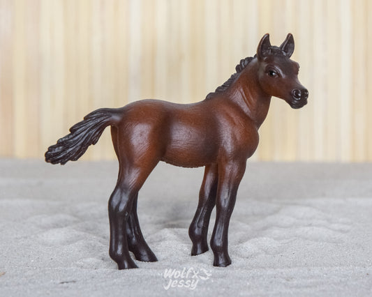 13276 Arabier veulen