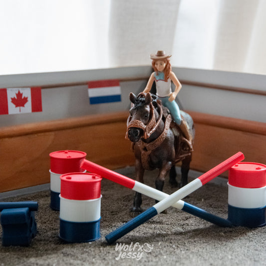 Western riding set