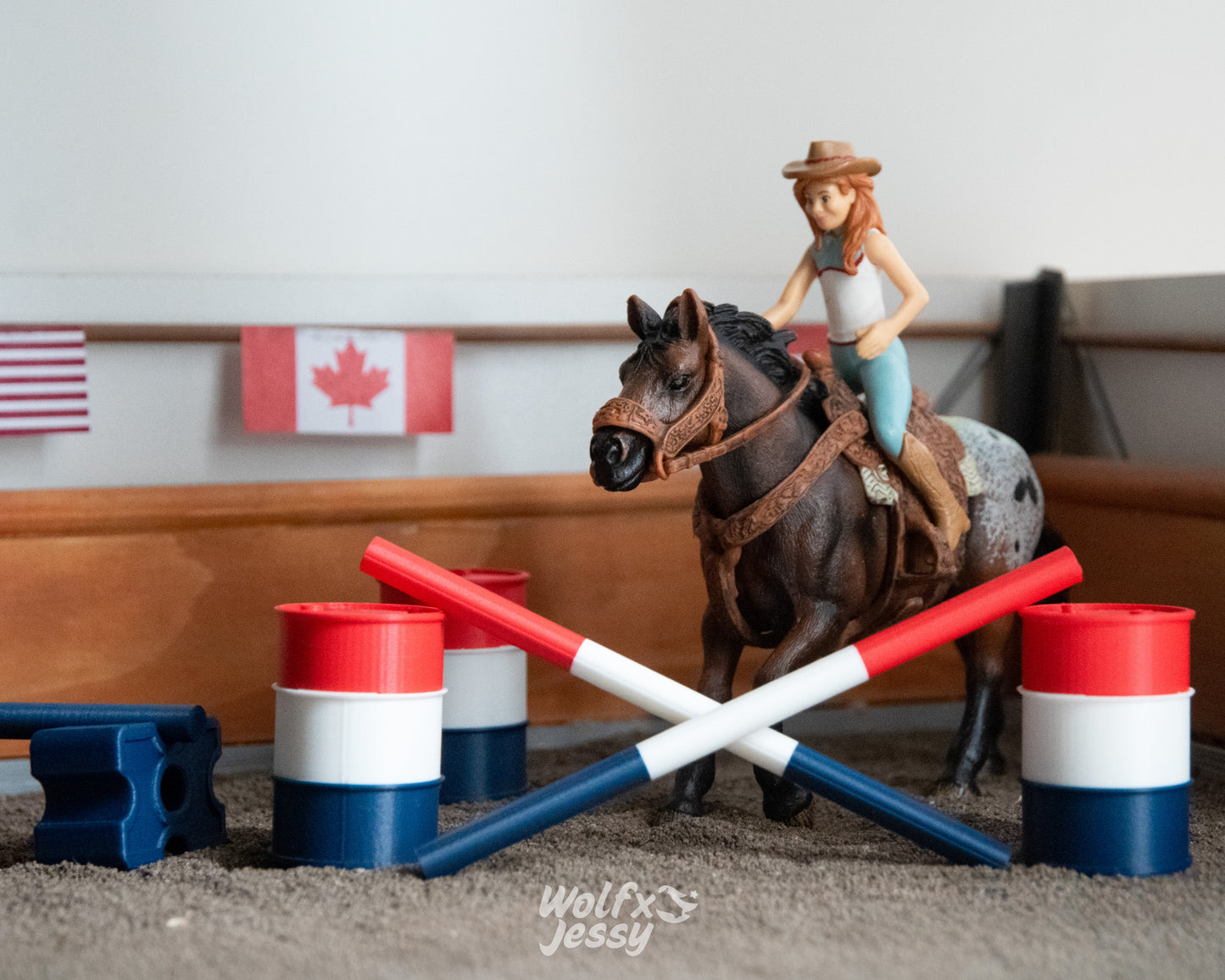 Western riding set