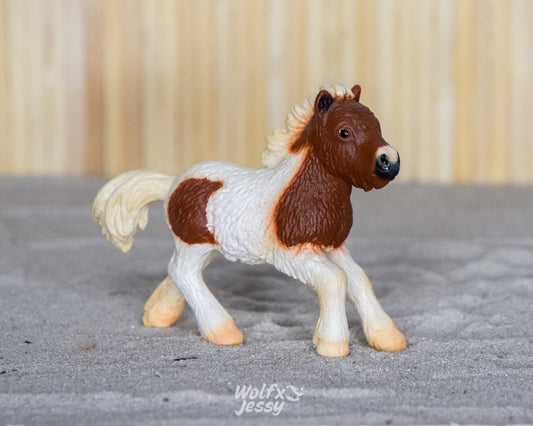 13608 Shetlander veulen