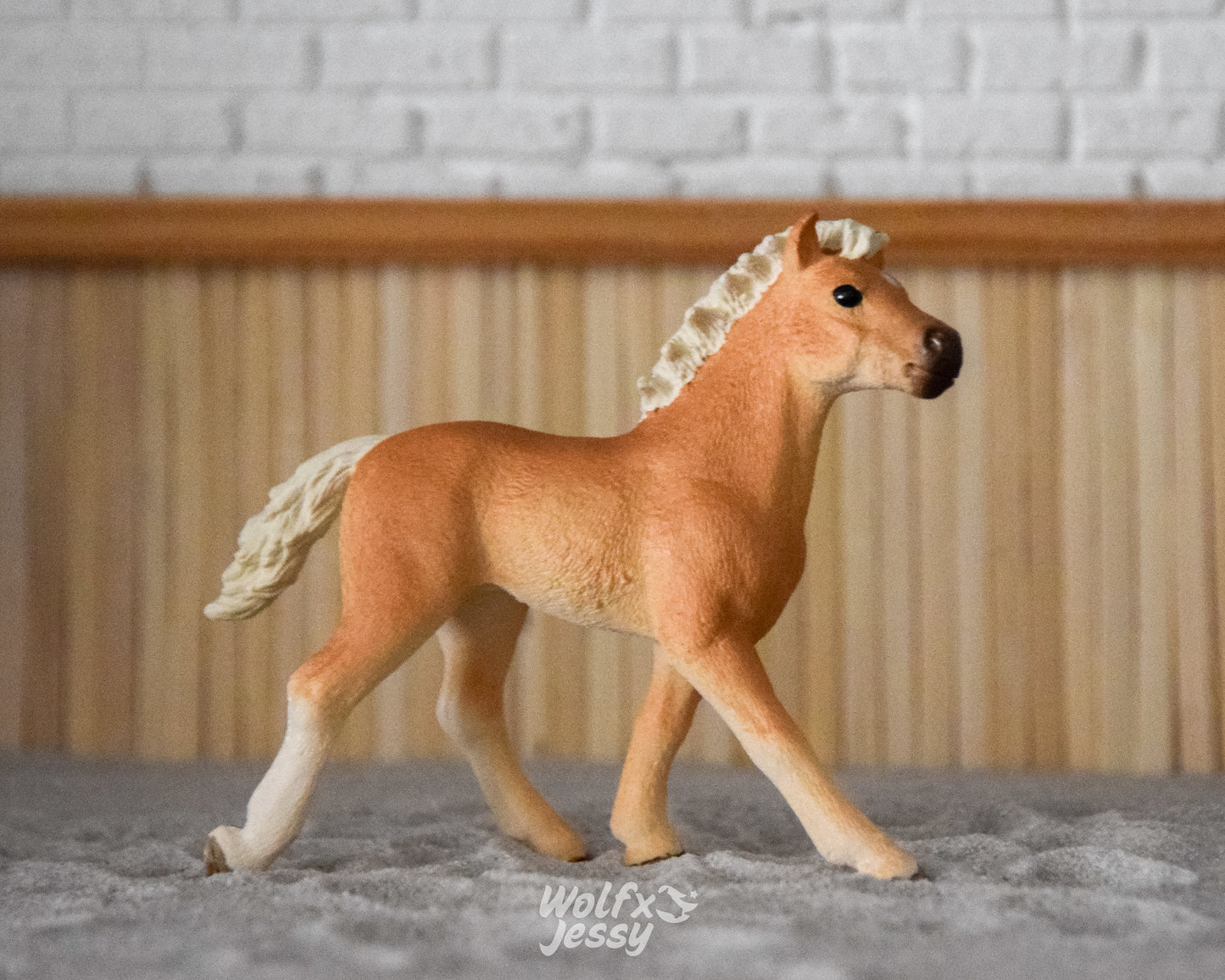 13814 Haflinger veulen
