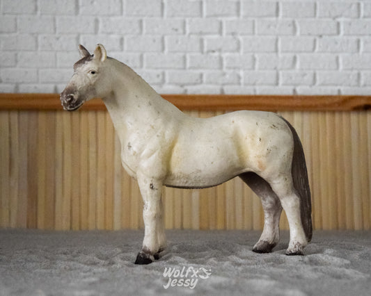 13228 Hannoveraan merrie