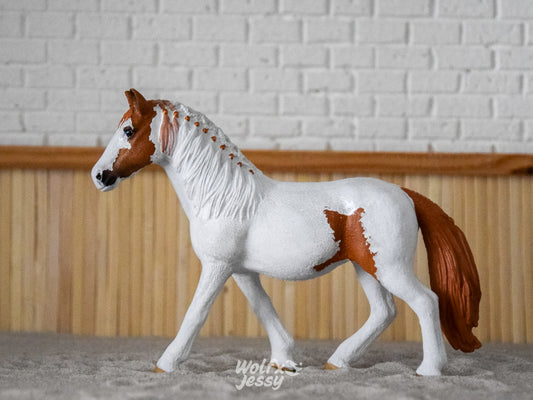 NIEUW Paint merrie 'Twilight'