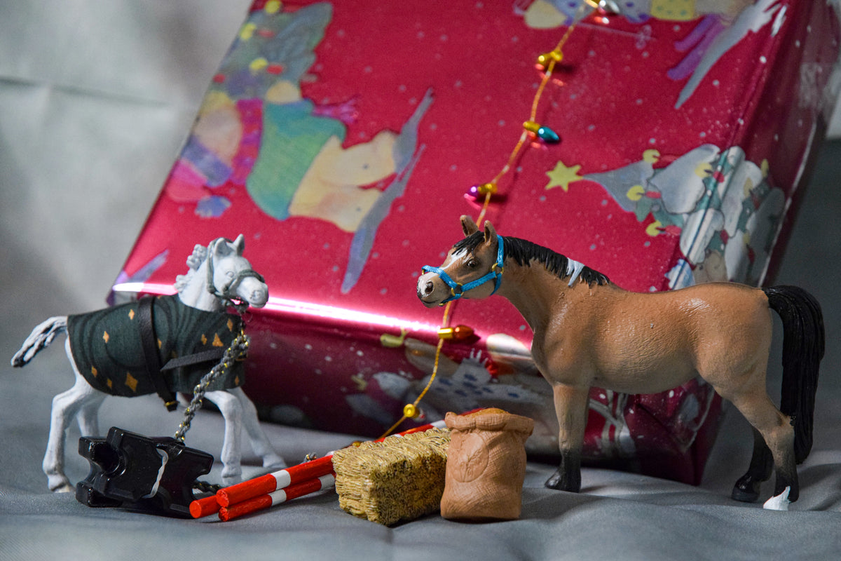 PREODER: Kerst Mystery box