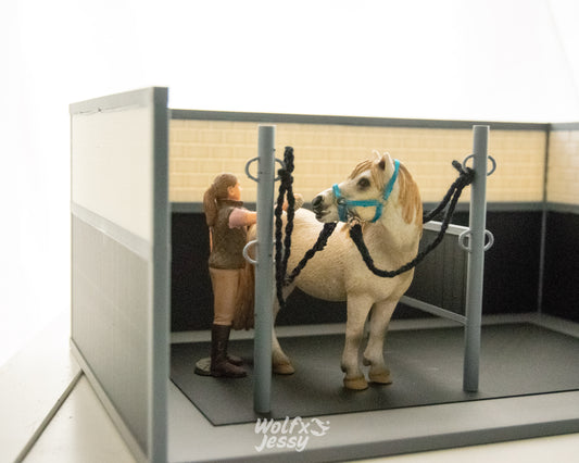 Miniatuur poetsplaats