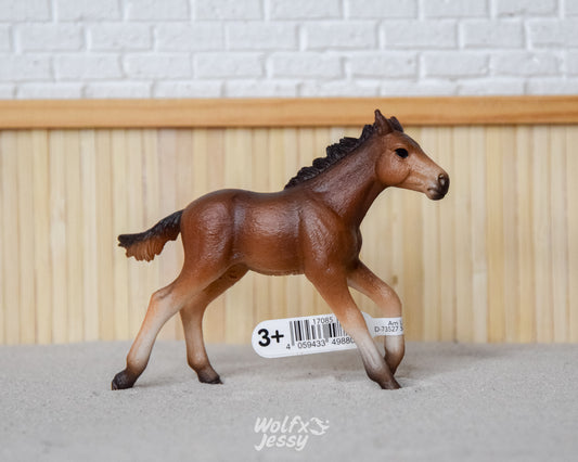 13807 Mustang veulen