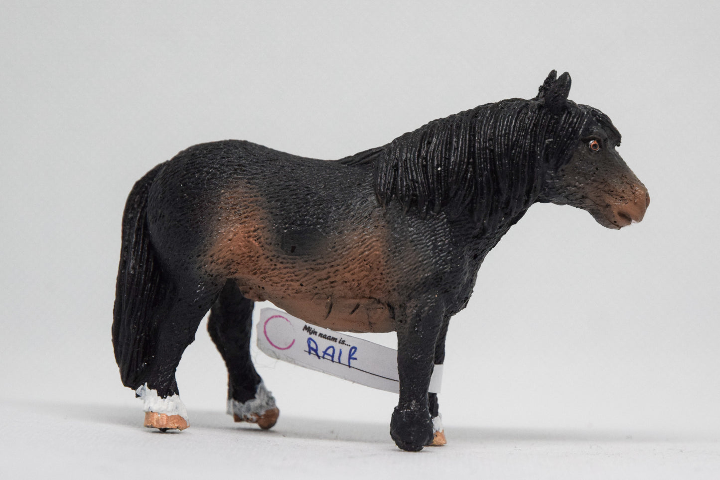 NIEUW Model Nova ''donkerbruin''