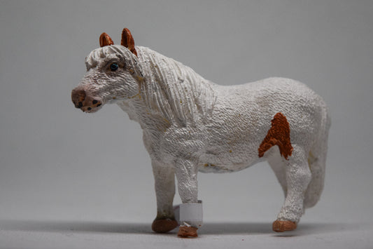 NIEUW Model Nova ''paint''