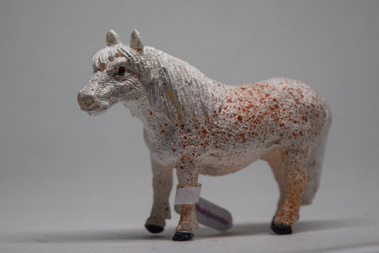 NIEUW Model Nova ''vliegenschimmel''