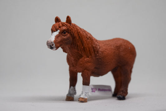 NIEUW Model Nova ''vos''