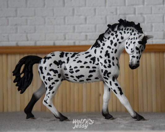 13769 Knabstrupper merrie
