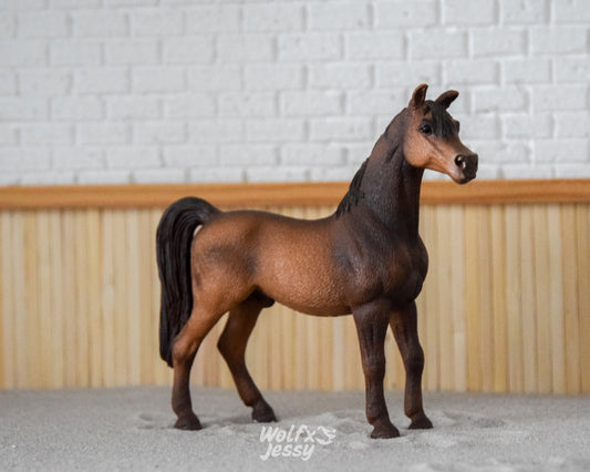 13629 Arabier Hengst