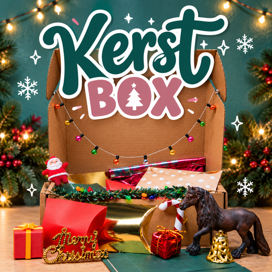 PREODER: Kerst Mystery box