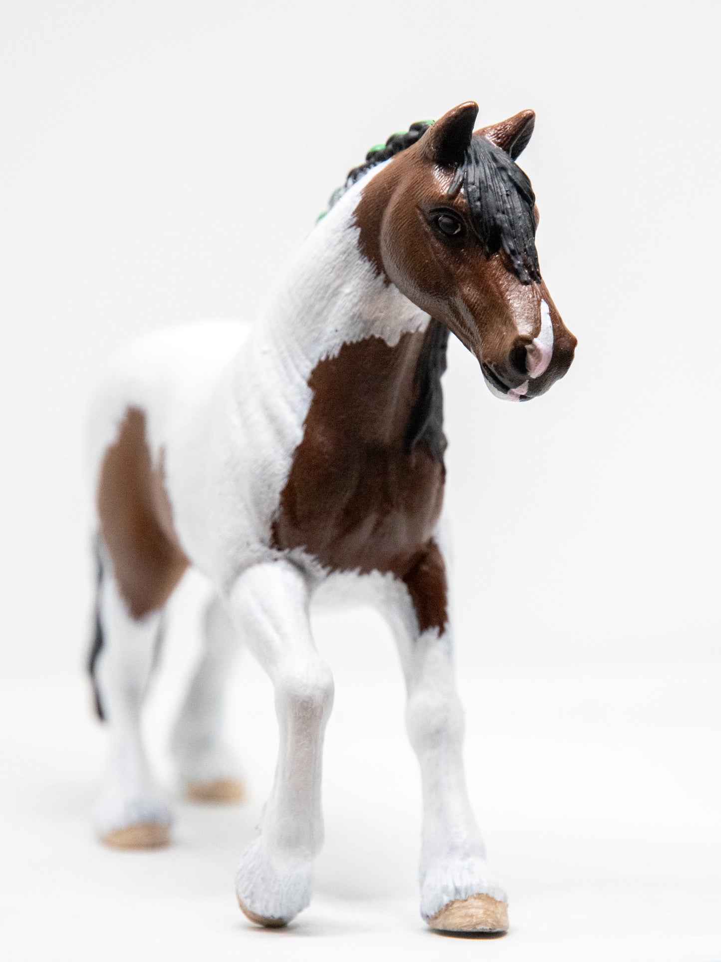 NIEUW Bonte fries ''Sweetz''