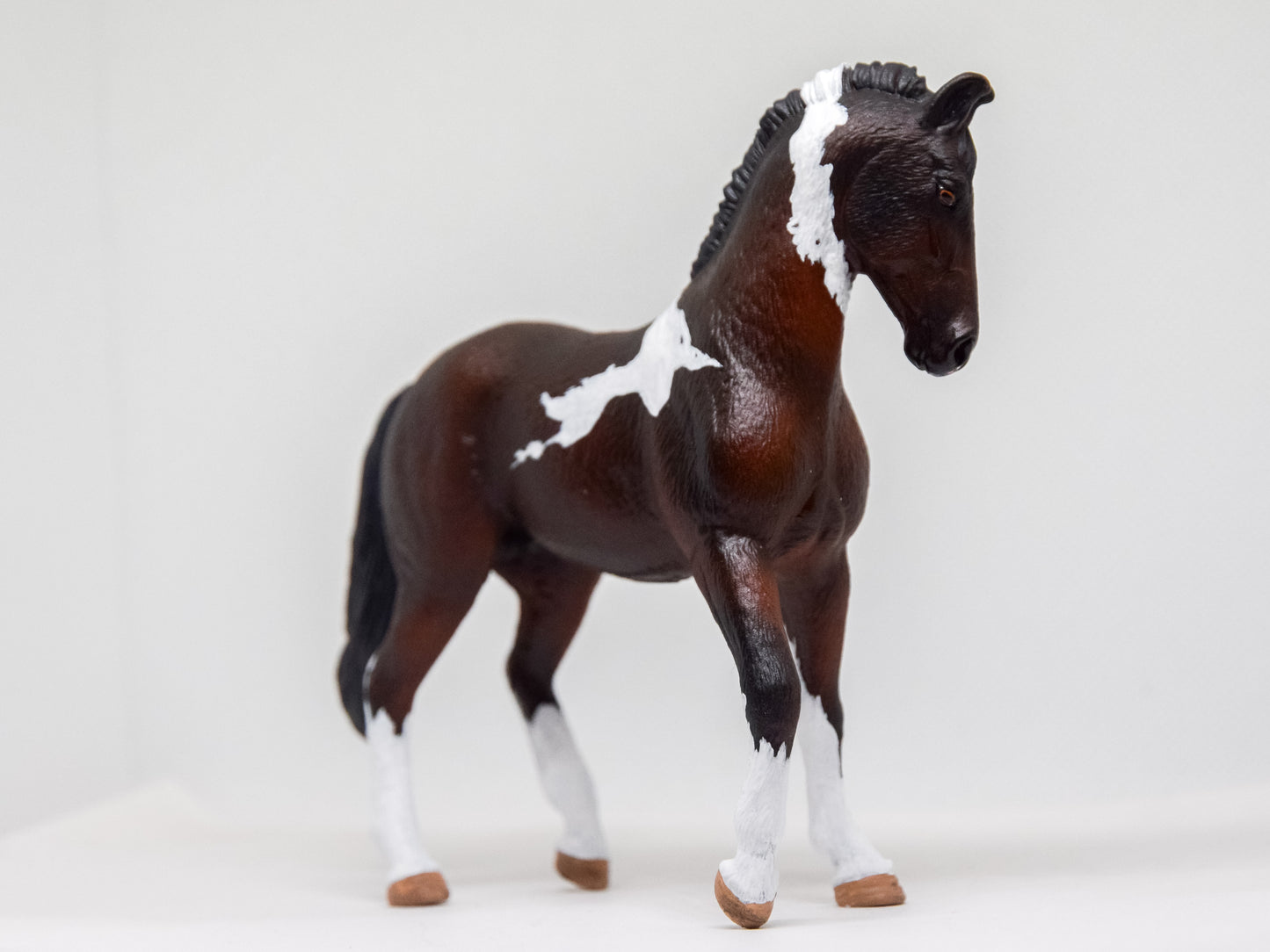 NIEUW SSO Marwari 'Tuxedo'