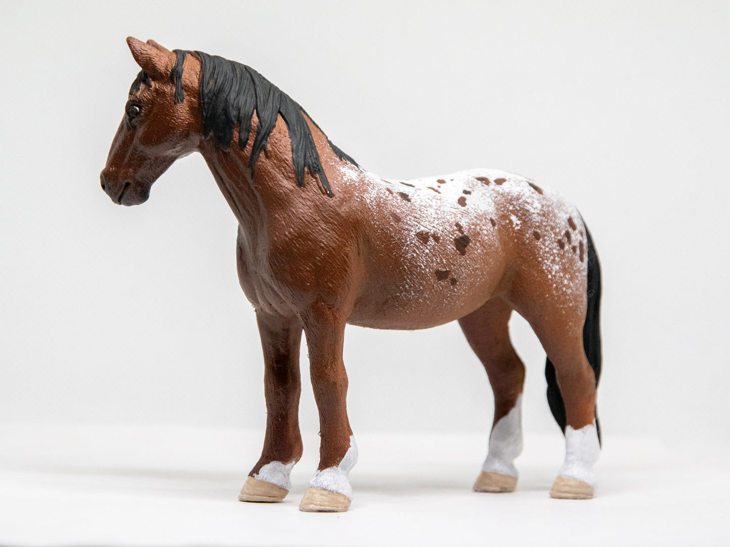 NIEUW Appaloosa 'Spotz'
