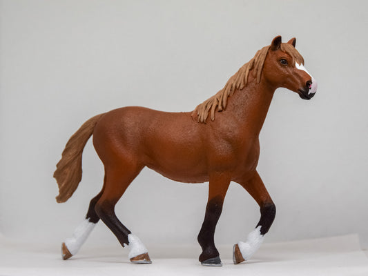 NIEUW Zweetvos 'Angel'